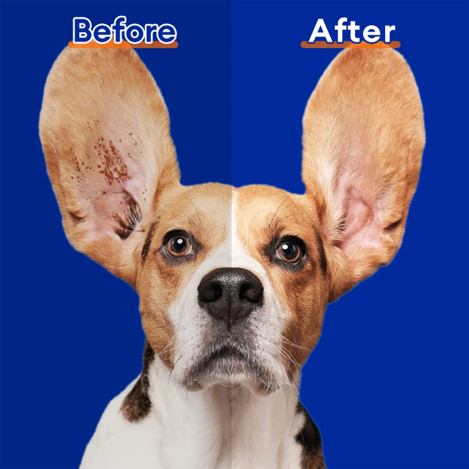 Ear Cleaning