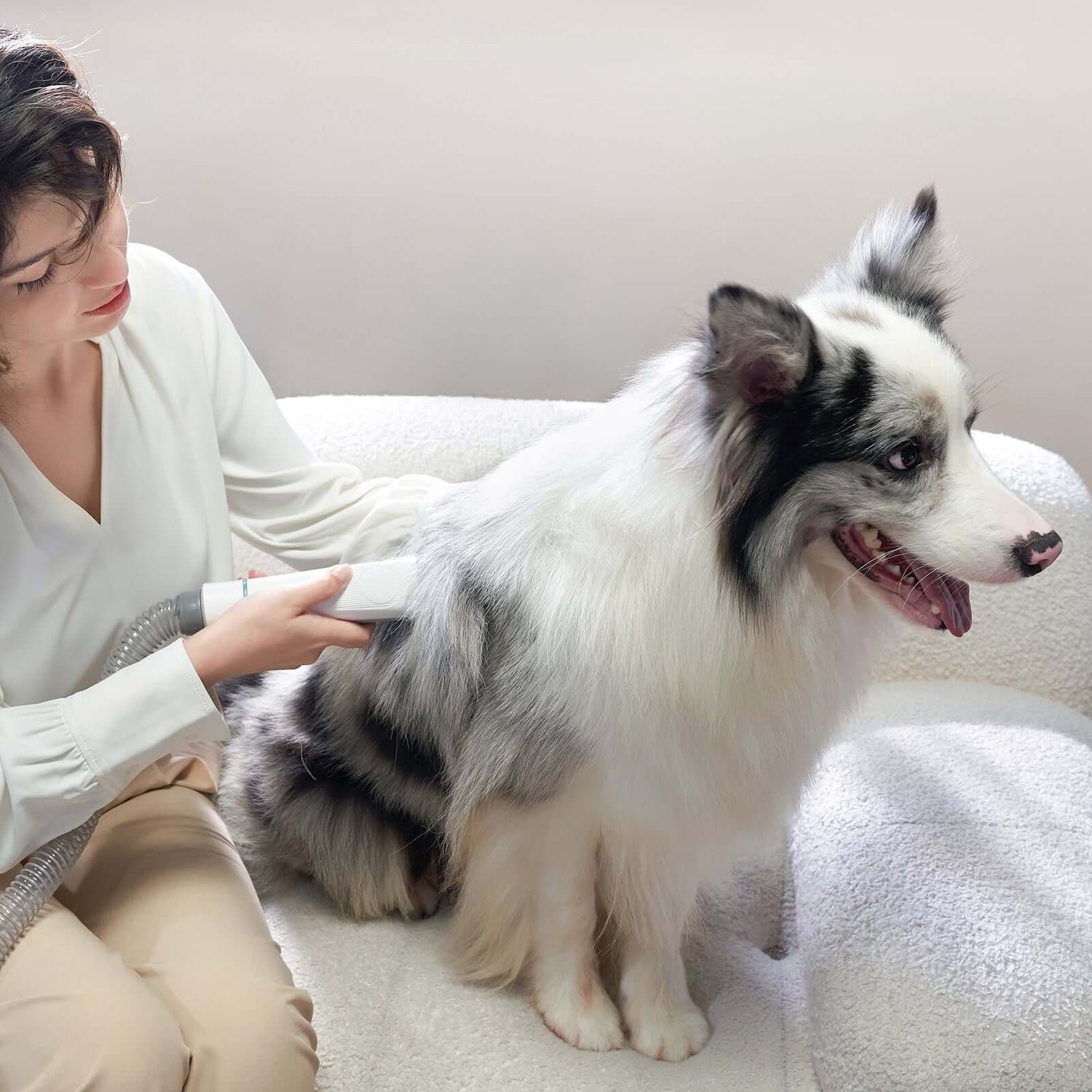 Grooming Supplies
