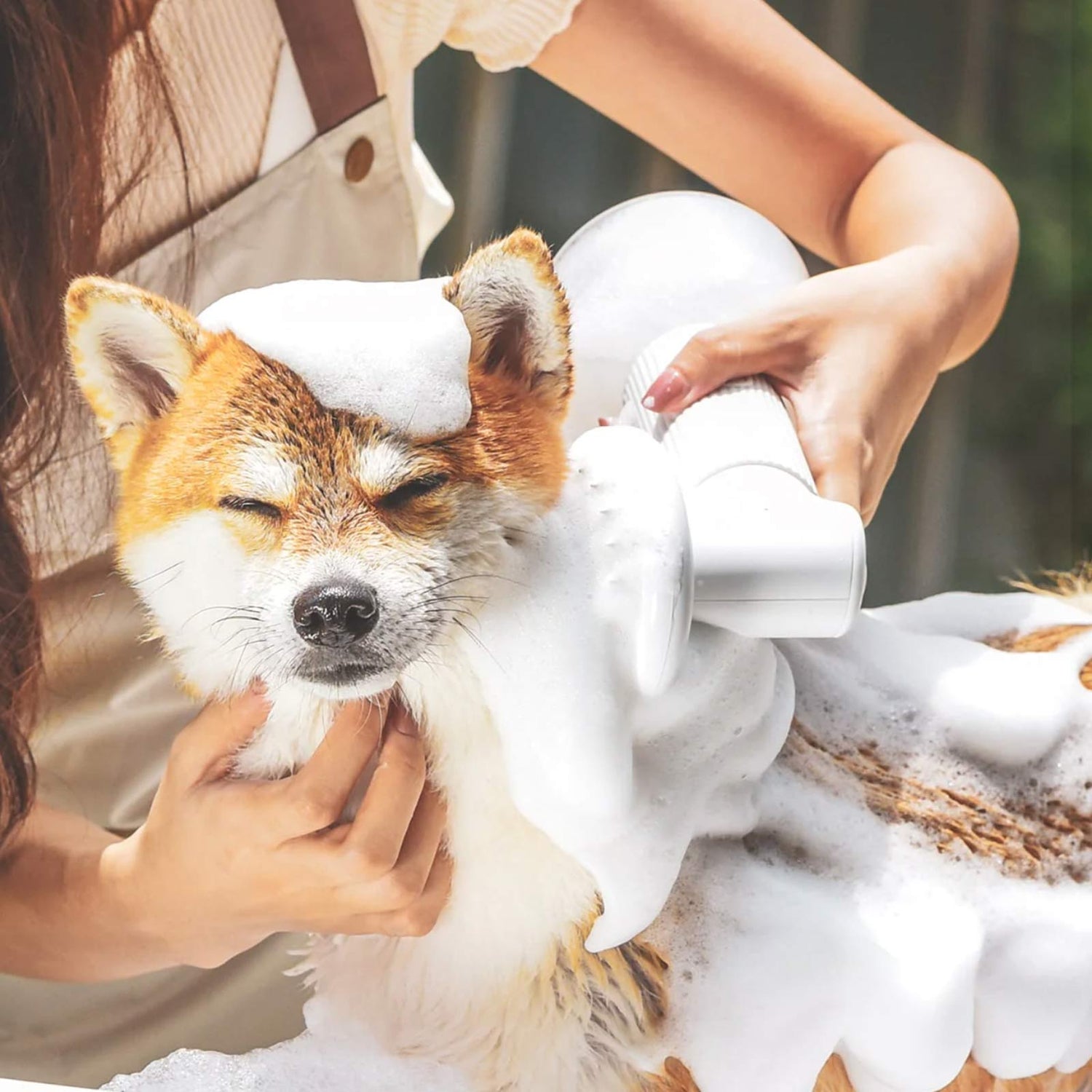 shampoos and conditioners